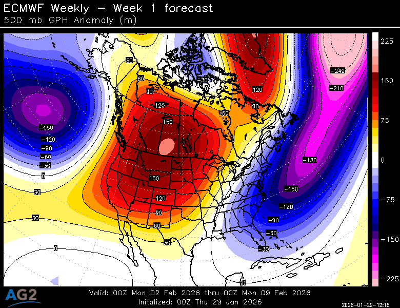 500za_week1_bg_NA.png?st=260129121854