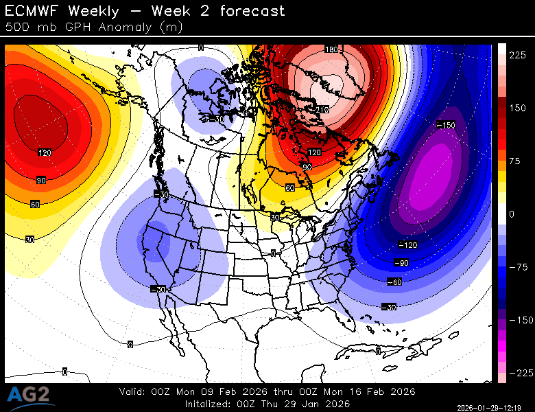 500za_week2_bg_NA.png?st=260129121906