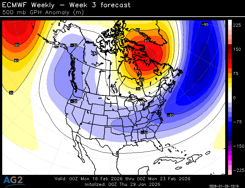 500za_week3_bg_NA.png?st=260129121933