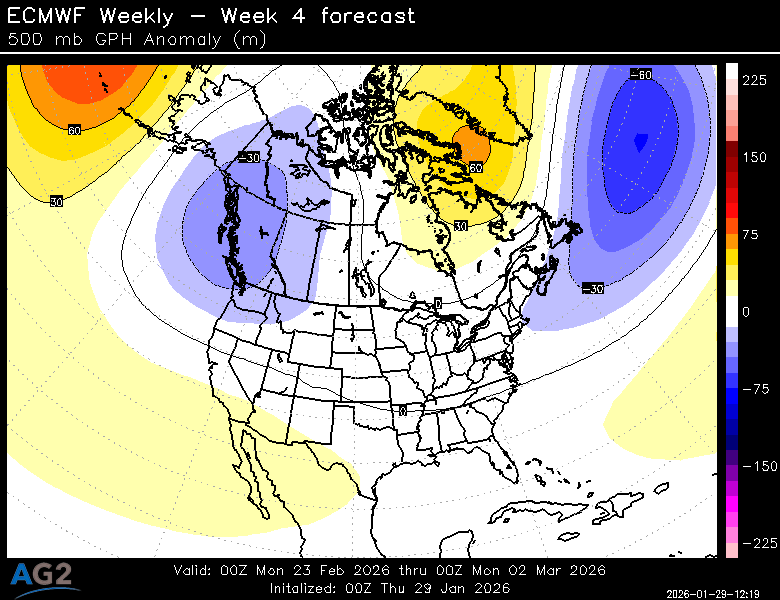 500za_week4_bg_NA.png?st=260129121939