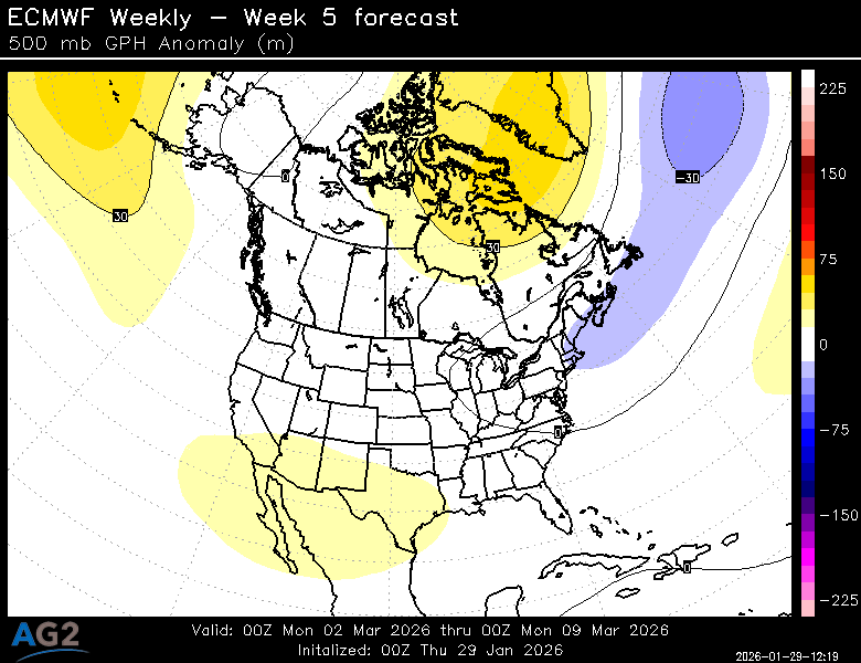 500za_week5_bg_NA.png?st=260129121951