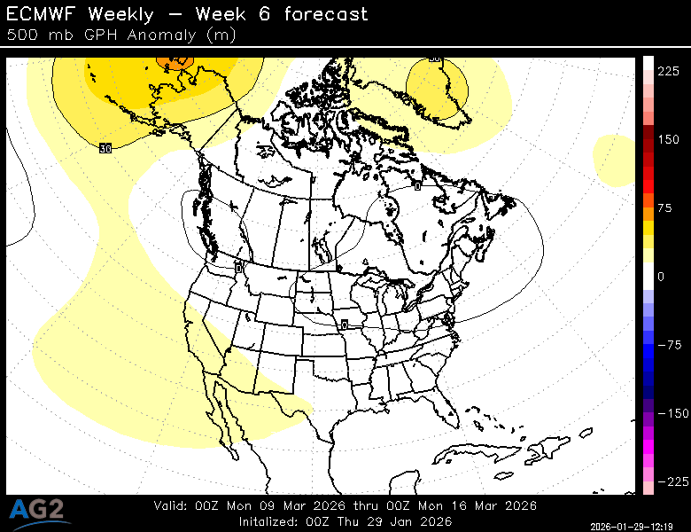 500za_week6_bg_NA.png?st=260129121957